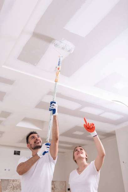 Environmental Consulting for Mold Prevention in Jonesboro, AR